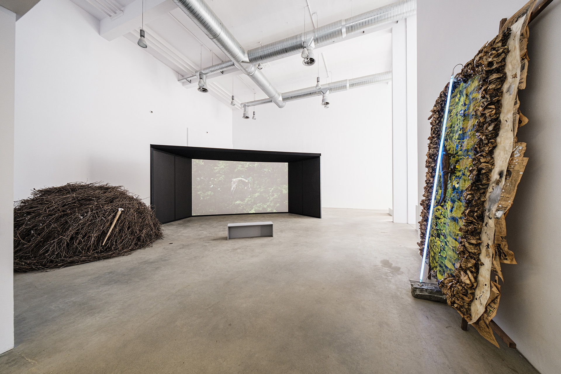 Mario Merz | Fondazione Merz